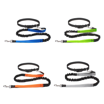 Hand Free Dog Leash